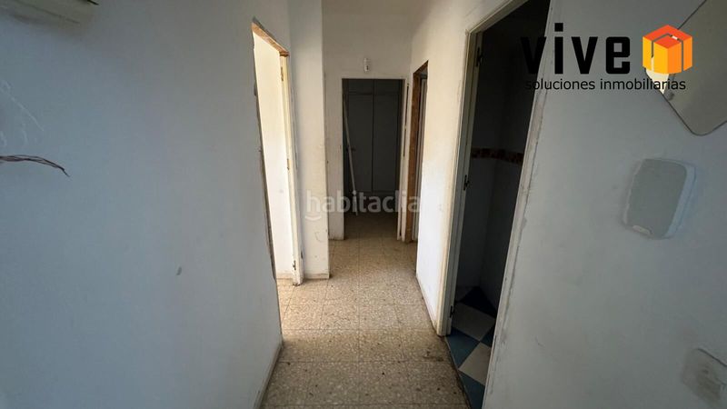 Foto 86f2fa17-9602-40c2-ad17-493832e5f092. Pis a La Oliva Sevilla