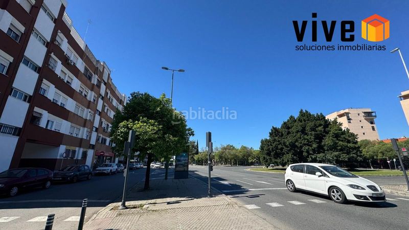 Foto db35555a-eed8-463b-9e26-9869b85b1161. Pis a La Oliva Sevilla