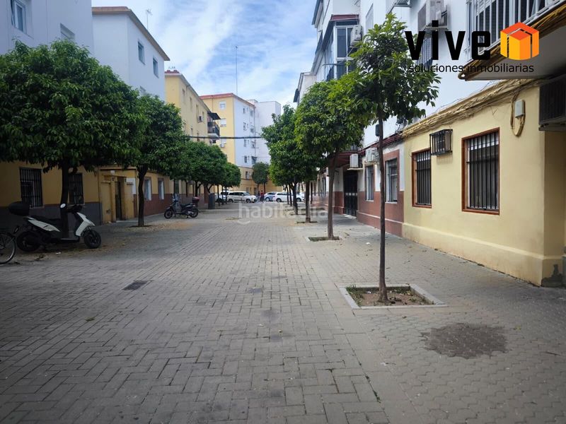 Foto d550e3ec-3f5c-4fdf-b508-72e68c462350. Pis a Cruz Roja Sevilla