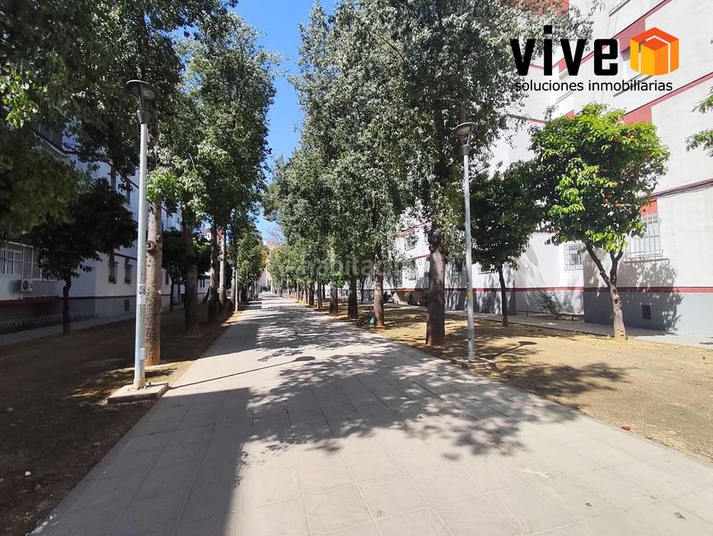 Foto cb535910-d60a-4736-93b0-b1779db05b36. Pis a Pino Montano - Consolación Sevilla