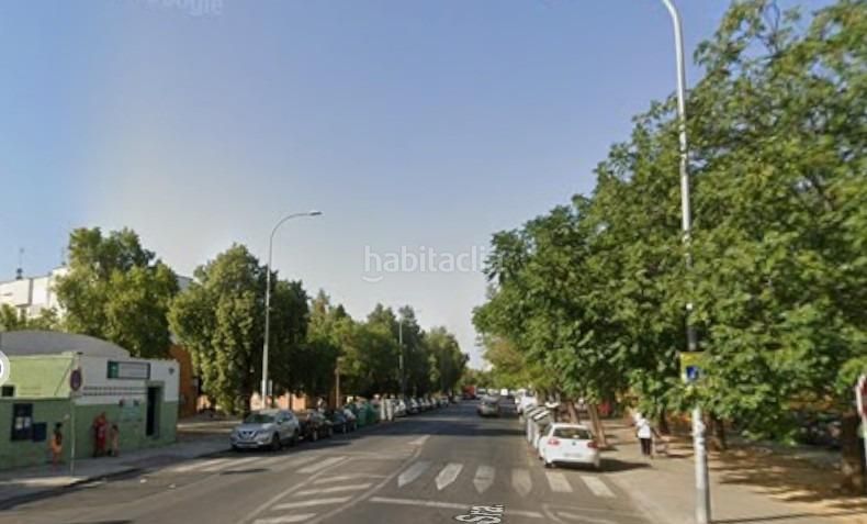 Foto 56ee882a-4573-496a-bcd8-503e660b1557. Pis a La Oliva Sevilla