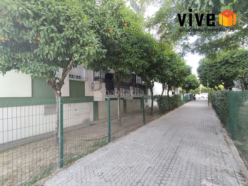 Foto 1d367702-1e04-4858-9fd0-e467c5f282d2. Pis a El Torrejón - El Cerezo Sevilla