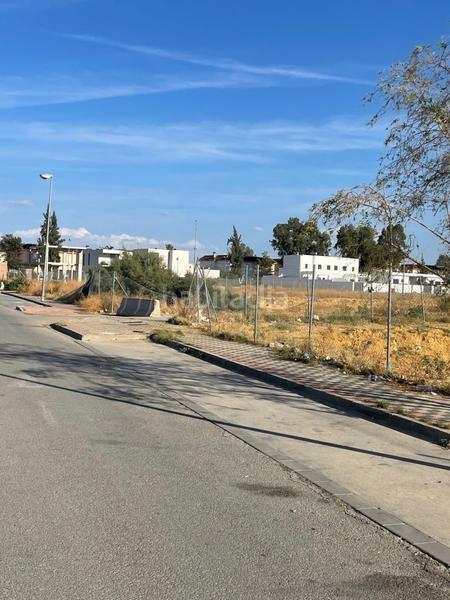 Foto b4581365-d951-413a-86ea-7f7e47c30bef. Terreno residencial en El Junquillo - Vistalegre Utrera