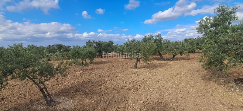 Foto 3eb8a3cc-bd0a-40b1-817e-e2be2c0cebb2. Finca rústica a Pedanías Norte Utrera