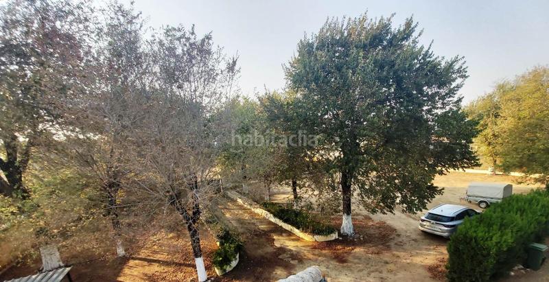 Foto 205acda1-ddfa-4124-a9e9-fd8713c3c7f6. Chalet en exclusiva chalet urbano en zona residencial dos casas en una con impresionante piscina privada! en Utrera