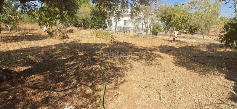 Foto f4cea582-5326-44f6-bb9a-bced9da28a3e. Casa con parcheggio piscina in Pedanías Norte Utrera