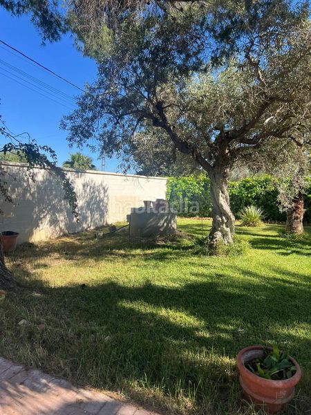 Foto 2bb792cd-7c00-4c32-9533-e91f284314dd. Casa amb piscina a Pedanías Norte Utrera