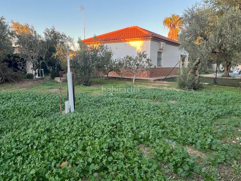Foto aec9318d-b8c8-4e53-9c83-c4534600f8b8. Casa amb piscina a Pedanías Norte Utrera