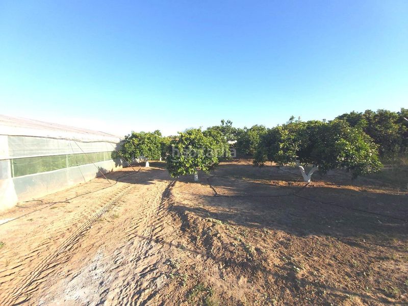 Foto 4213e5a5-2d58-4b87-bac5-0309fe45e82b. Casa amb aparcament a Pedanías Norte Utrera