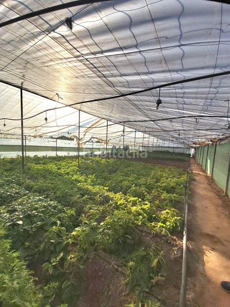 Foto b73da090-902b-427a-91ba-b8f6a8ae737d. Casa amb aparcament a Pedanías Norte Utrera