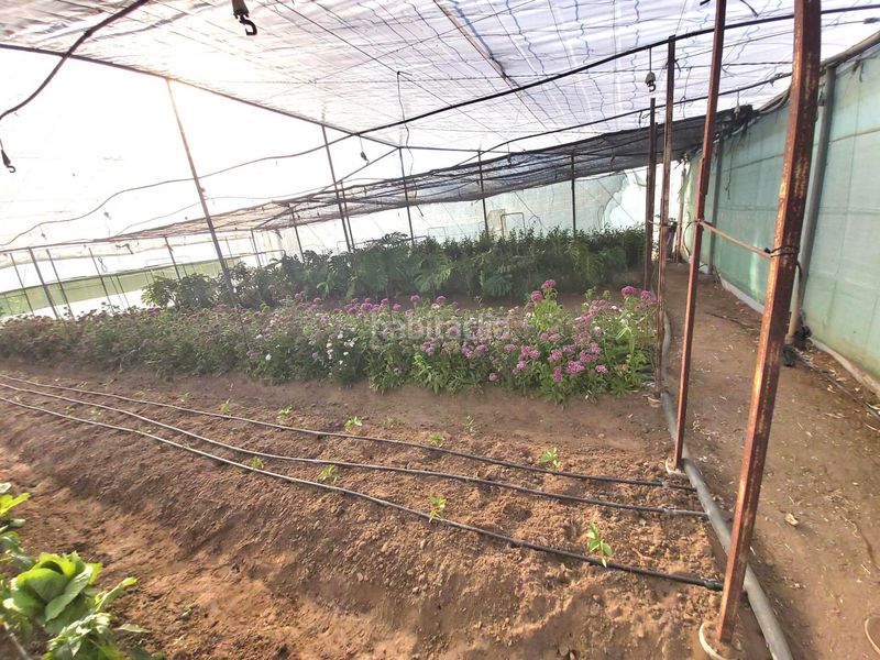 Foto fa514e75-a3dc-4a99-bdd5-371cce6c8181. Casa amb aparcament a Pedanías Norte Utrera