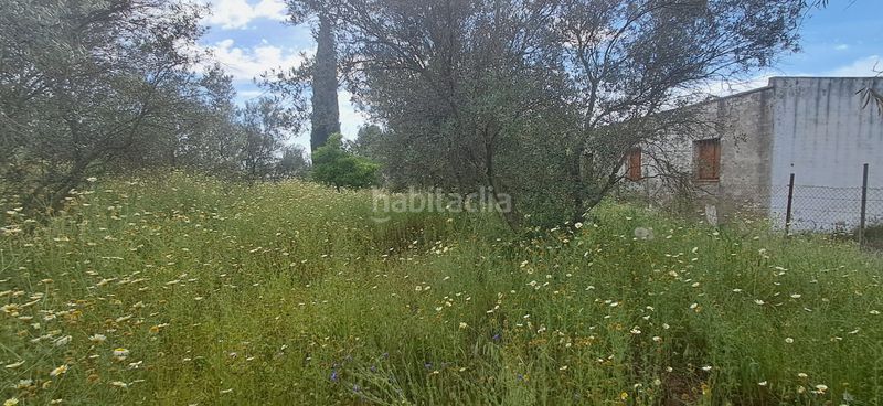 Foto 98ba3c2b-a1df-47d1-ba64-3912a5c057f0. Casa a Pedanías Norte Utrera
