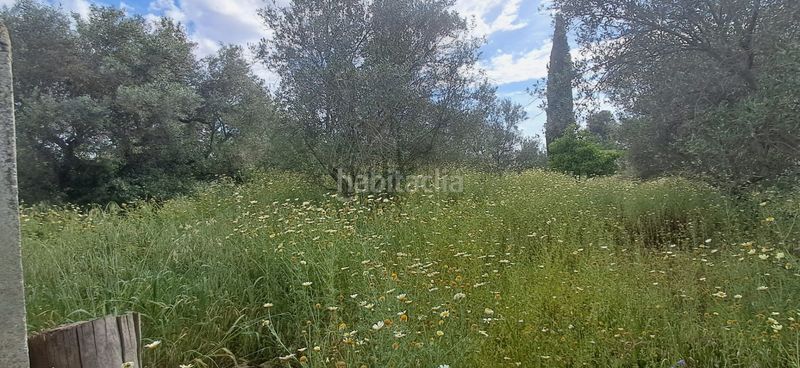 Foto bfd39af0-5c92-48ae-9152-c62871a514c1. Casa a Pedanías Norte Utrera