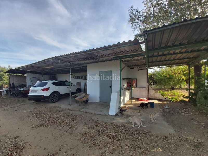 Foto 5dc0f84b-cbbb-4749-a82d-5a80004d01bd. Casa amb aparcament piscina a Pedanías Norte Utrera