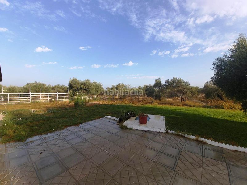 Foto a266355d-d7da-4ccd-8ace-733e7bc40a84. Casa amb aparcament piscina a Pedanías Norte Utrera