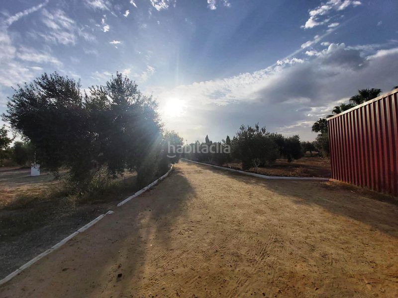 Foto a8a84be0-7758-4a95-89d0-a0ee89aa4b5d. Casa amb aparcament piscina a Pedanías Norte Utrera