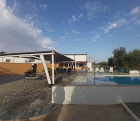 Casa a Pedanías Norte. Finca en venta a 3 minutos de utrera  inversión con rentabilidad