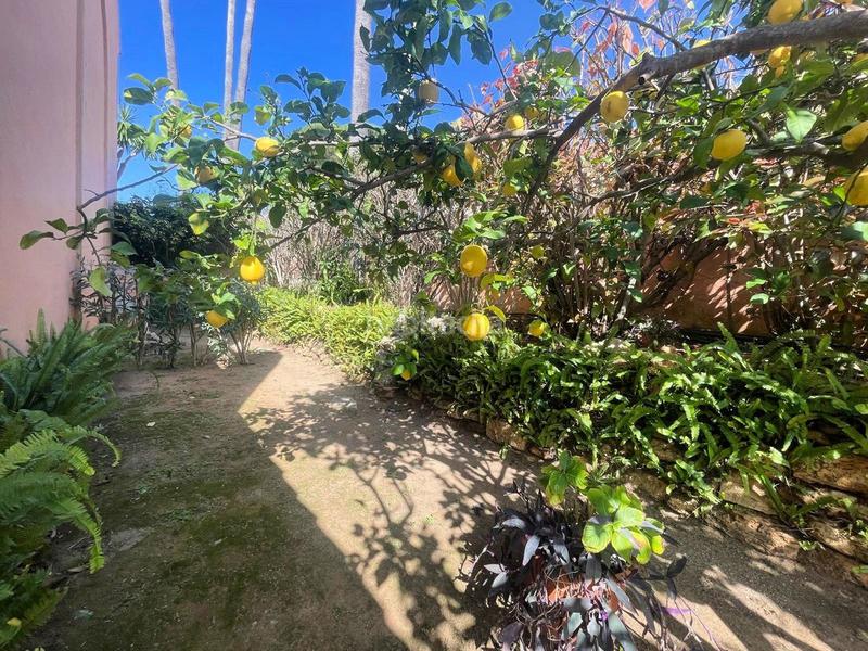 Foto 3a86dee8-9c61-4b2f-938a-d22241eec2ac. Reihenhaus mit heizung parking pool in Centro Mijas