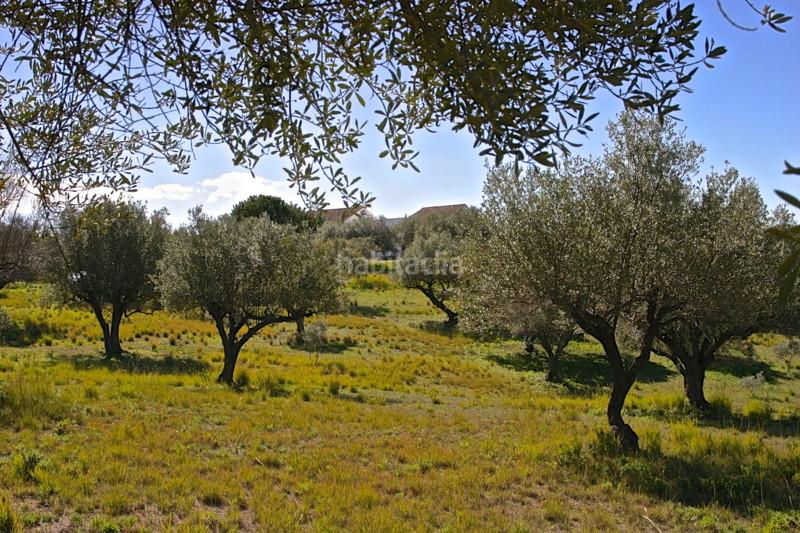 Foto 7908fe21-377c-4741-97ac-374e7b3563b4. Chalet villa aislada de 4 dormitorios en Elviria en Marbella