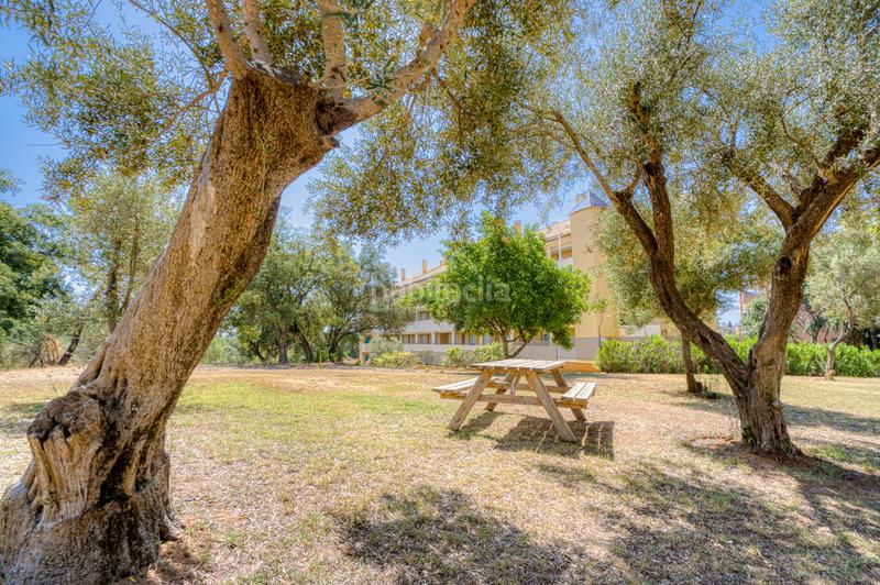 Foto d0ec901a-8a6c-4209-87cd-d9a60639347f. Planta baja apartamento en planta baja de 2 dormitorios en Marbella
