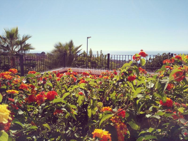 Foto de672cad-a50d-4d6a-9d0d-47c41fc096ee. Casa adosada adosado de 4 dormitorios en San Luis de Sabinillas Manilva