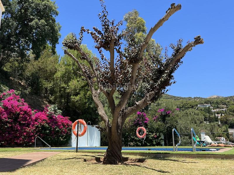 Foto 4256188c-626b-4bc3-b5be-dae4bf322382. Piano terra con riscaldamento parcheggio piscina in Mijas