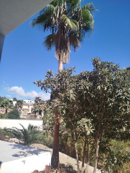 Foto b348ad19-d038-45fd-9565-34658e6b0627. Chalet mit heizung parking pool in campo de Mijas Mijas