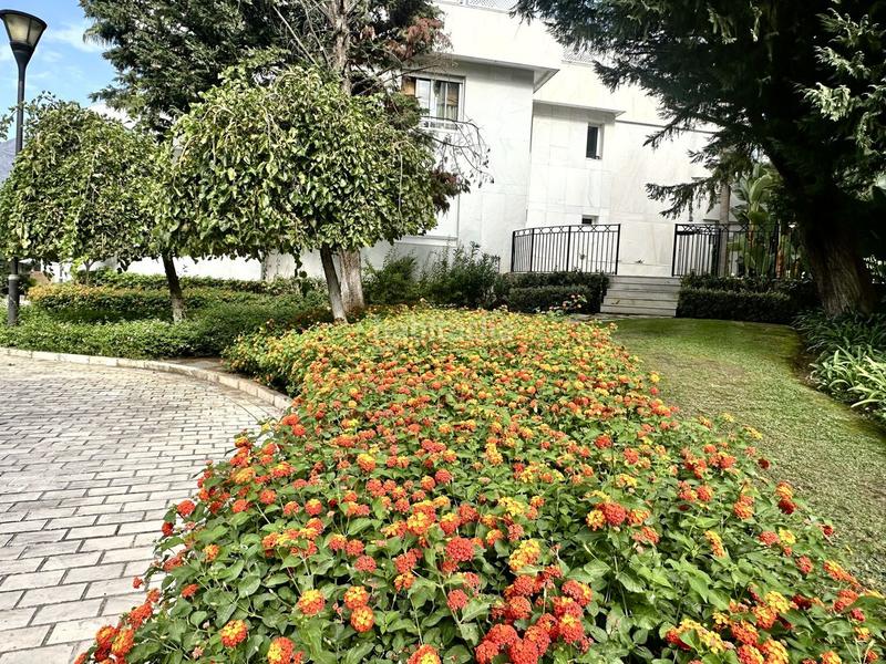 Foto a7d94117-3244-4f8a-97e4-e858ca0fa10e. Apartament amb calefacció aparcament piscina a Aloha Marbella