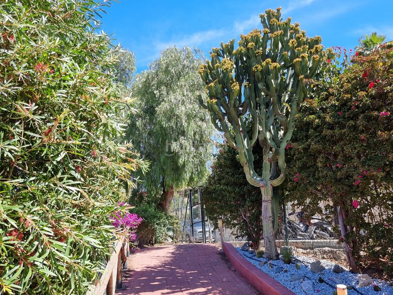 Foto a21f3234-6be0-4491-b3f4-99bebd56fd69. Àtic amb calefacció aparcament piscina a reserva de Marbella Marbella