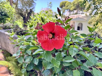 Foto 6b6fa60a-ed67-4c64-94a1-6cad3b418f7e. Estudi amb calefacció aparcament piscina a Riviera del Sol Mijas
