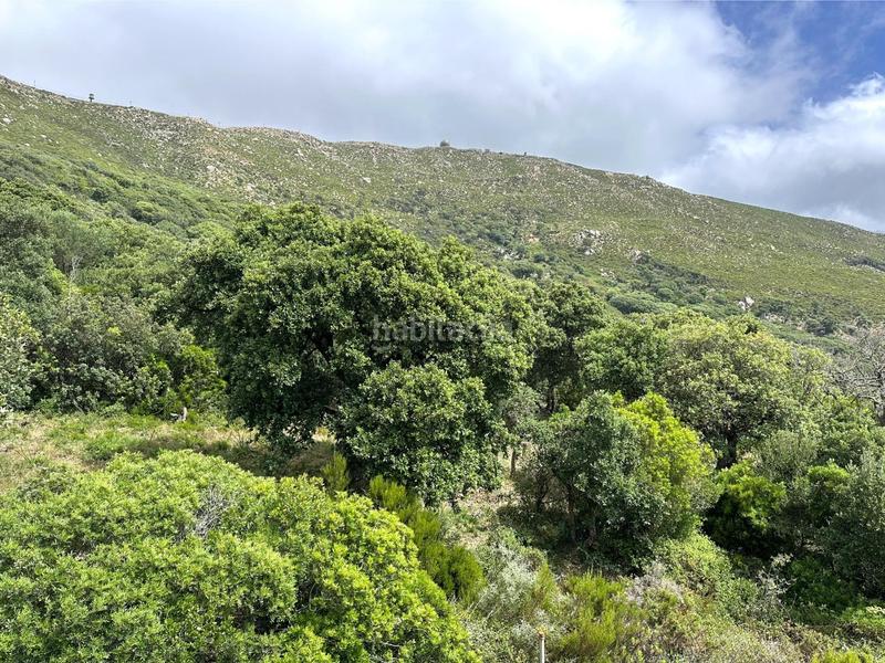 Foto 68281852-38b0-4d4d-94f7-4a4108f8d1b2. Terrain résidentiel dans El Cuartón - El Bujeo Tarifa