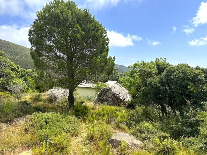 Foto ad80fabd-c578-4e97-9f2d-c1de354f961a. Terrain résidentiel dans El Cuartón - El Bujeo Tarifa