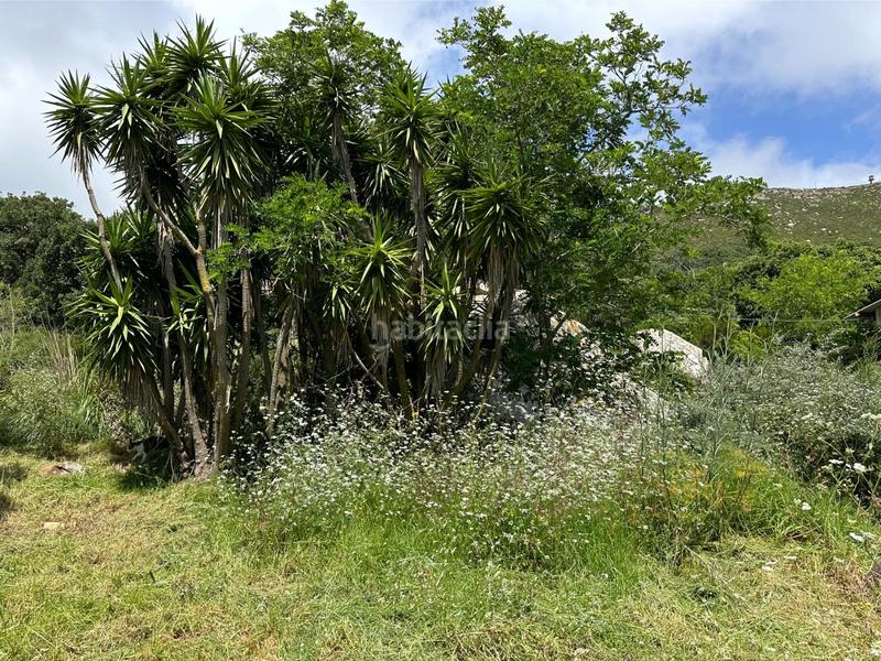 Foto c09b0abf-b24c-4ec3-b432-d9393f74a1a9. Terrain résidentiel dans El Cuartón - El Bujeo Tarifa