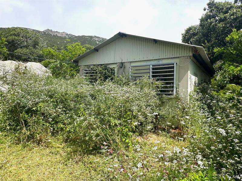 Foto c573c526-8bc6-4ca5-8e36-da98769dd185. Terrain résidentiel dans El Cuartón - El Bujeo Tarifa