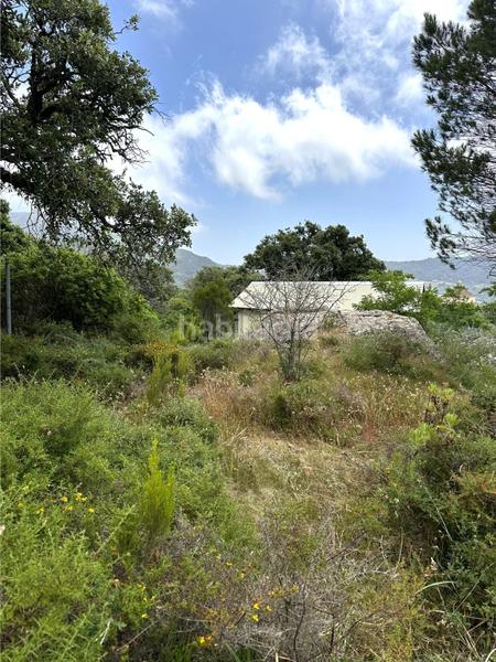 Foto cab577ed-71d1-4f43-bb06-9d4259ec6ac1. Terrain résidentiel dans El Cuartón - El Bujeo Tarifa