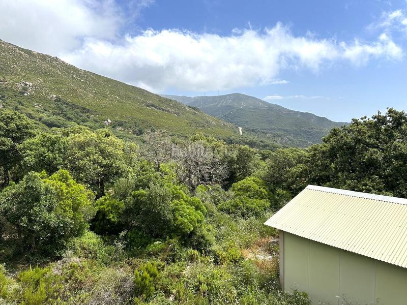 Foto d67f28ff-4404-4641-8bd7-44c4679ca122. Terrain résidentiel dans El Cuartón - El Bujeo Tarifa