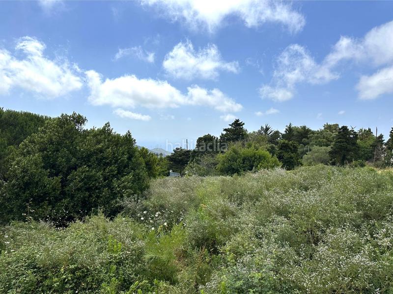 Foto e1f0b79d-8b83-441d-9b0b-9a309810f9ab. Terrain résidentiel dans El Cuartón - El Bujeo Tarifa