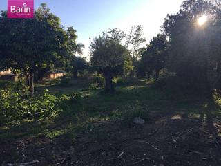 Terreno residencial en El Brillante -El Naranjo - El Tablero. Oportunidad parcela en brillante !!!