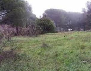 Residential Plot in Las Jaras. Parcela en las jaras