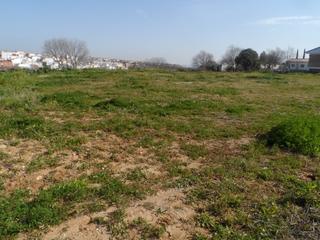Terreny residencial a El Brillante -El Naranjo - El Tablero. Parcela en calasancio