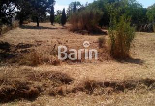 Terreno residenziale in Alcolea. Parcela en alcolea