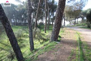 Terreny residencial a Cerro Muriano. Parcela urbana en el muriano!