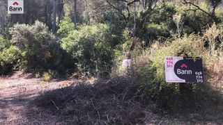 Terreno residenziale in Santa Maria de Trassierra. Parcela rústica en el salado con posibilidad de luz y agua