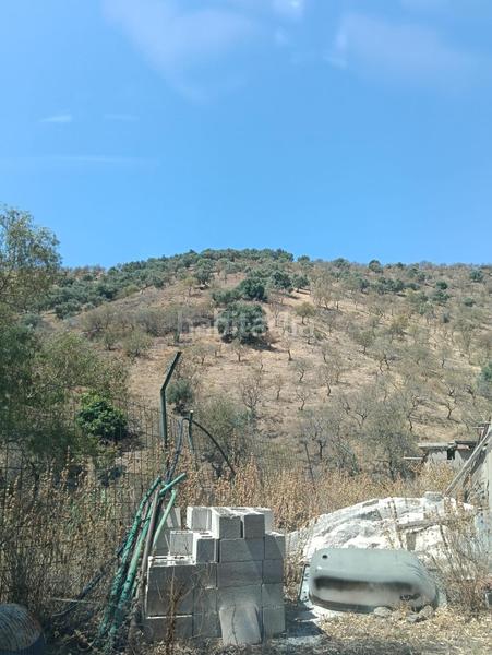 Foto 5a9a4afe-055d-428e-a4e3-10db15c7a5e9. Wohngrundstück in Benajarafe