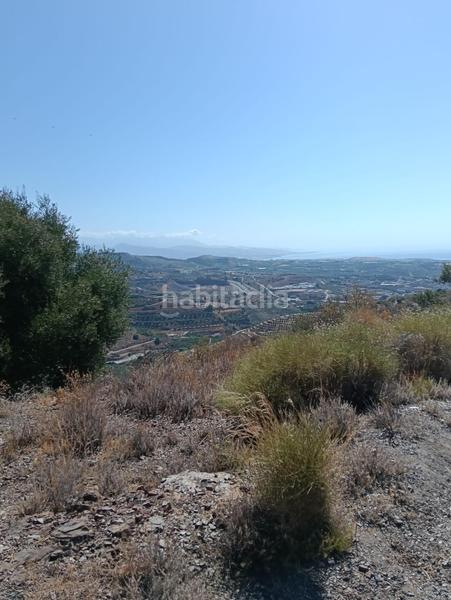 Foto 63a2846e-d917-4486-b531-2442cbf7cd76. Wohngrundstück in Benajarafe