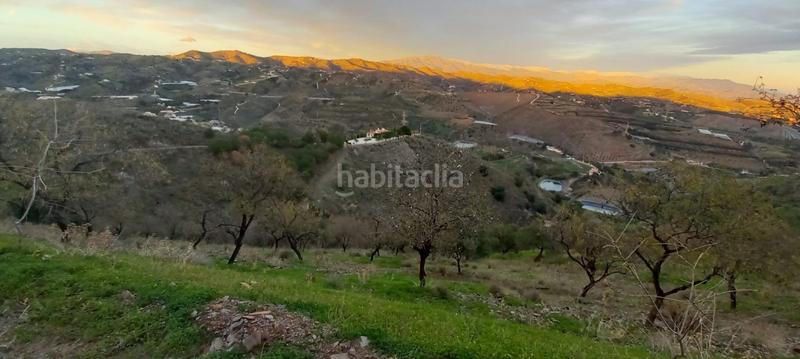 Foto 6883fb4c-6c41-45a2-a106-37f00bd0dc4f. Wohngrundstück in Benajarafe