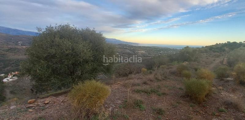 Foto 774d6f83-ce20-420c-9cb7-31929a1e15ae. Wohngrundstück in Benajarafe