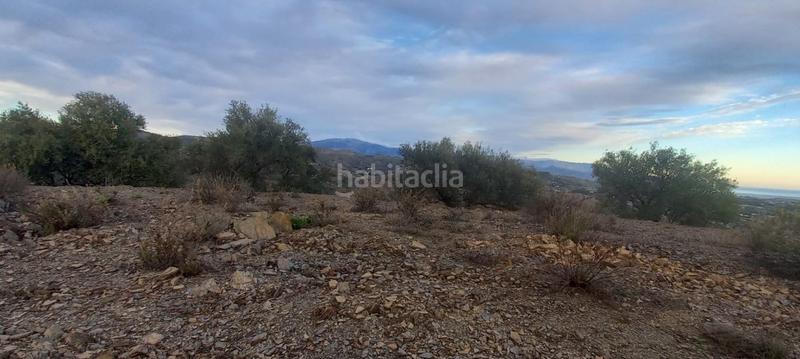 Foto 8257dc87-5b92-4c81-a504-4f2d9ab8fb88. Wohngrundstück in Benajarafe