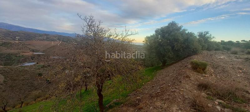 Foto 8507dd0d-a2b3-497b-aef9-6e671b6d0adb. Wohngrundstück in Benajarafe