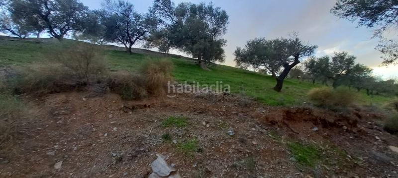 Foto 89378032-5080-4158-9846-0790c20e746d. Wohngrundstück in Benajarafe